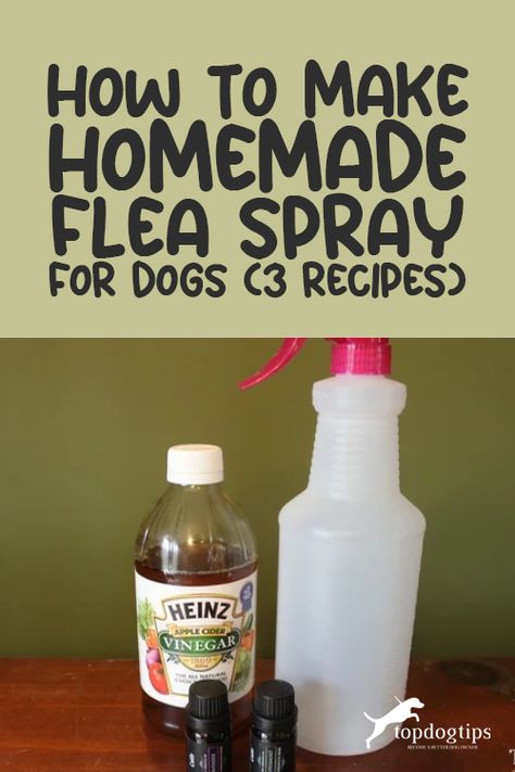 I've been using DIY flea sprays for dogs for years now. Learning how to make homemade flea spray for dogs can help you save money and reduce your pet's exposure to harmful chemicals. Here are three DIY homemade flea sprays for dogs recipes that are all-natural and 100% safe for pets! Diy Flea Spray For Dogs Essential Oils, Natural Pet Flea Repellent, Natural Tick Spray For Dogs, Natural Flea Spray For Dogs, Natural Flea Shampoo For Dogs, Apple Cider Vinegar Flea Spray, Dog Flea Remedies Diy, Flee Spray Diy, All Natural Flea Spray For Home