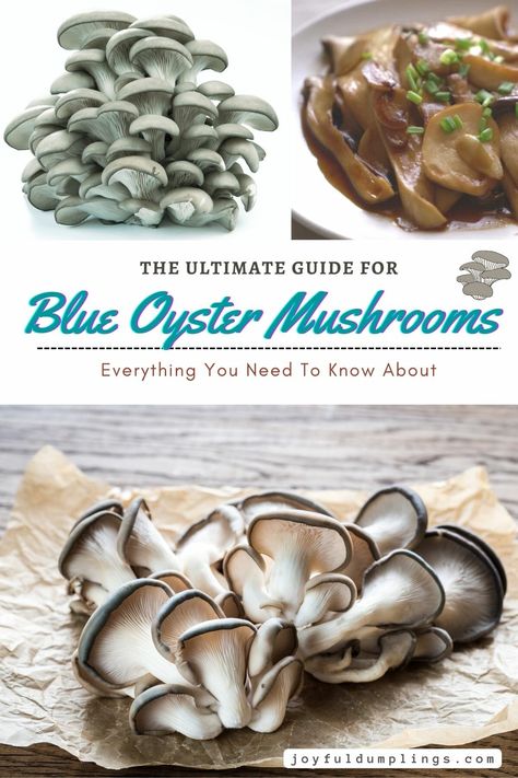 a poster Blue Oyster Mushrooms Recipes Vegan, Blue Oyster Mushroom Recipe, Blue Oyster Mushrooms Recipes, Oyster Mushrooms Recipes, Blue Oyster Mushrooms, Oyster Mushroom Recipes, Lions Mane Mushroom Recipe, Mushroom Recipes Vegan, Blue Mushrooms