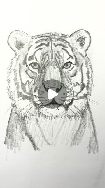 Mark Liam Smith on Instagram: "Draw a tiger 🐯 Easy step-by-step drawing lesson for beginners on how to draw a tiger. #drawinglesson #howtodraw #drawtiger" Simple Tiger Drawing, Tiger Drawing Sketches, Tiger Drawing Tutorial, Easy Tiger Drawing, Tiger Face Drawing, Tiger Art Drawing, Draw A Tiger, Tiger Sketch, Yoga Drawing