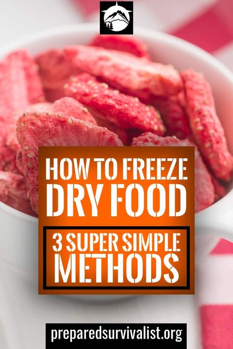 How To Freeze Dry Food - the quickest way to freeze dry food is to use a freeze dry machine. These machines do cost a hefty amount but they do everything for you. Freeze Dry Food, Freeze Dried Food Storage, Preparedness Ideas, Freeze Dryer, Shtf Preparedness, Freeze Dried Food, Preserve Food, Freeze Dried Raspberries, Dry Food Storage