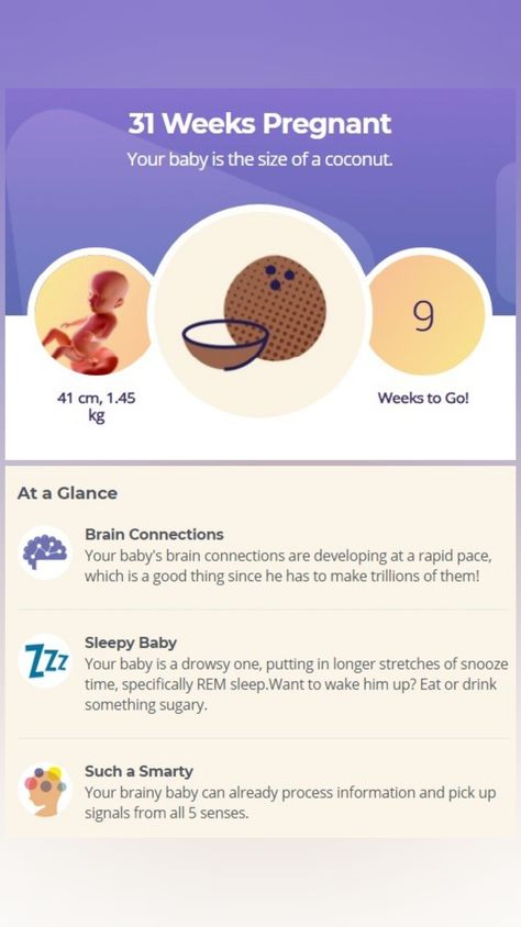 31 Week Pregnancy, Pregnant Week By Week, Baby Countdown, Baby Ray, 31 Weeks Pregnant, Pregnancy Week, Brain Connections, Mommy Time, Weeks Pregnant