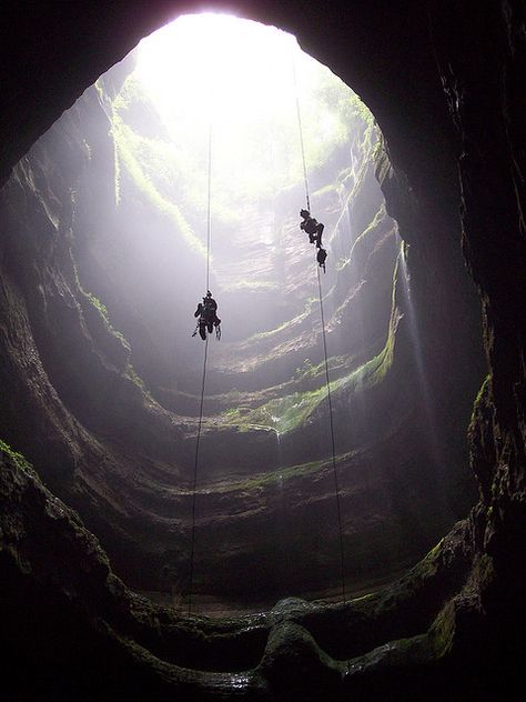 Neversink Pit is a limestone sinkhole in Alabama, and it’s one of the most-photographed sinkholes in the world because of its beautiful fern-covered ledges and waterfalls. The hole is about 40 feet wide at the top, but it expands to 100 feet at its bottom, which is 162 feet from the ground. Neversink is home to bats and several rare and endangered fern species. Into The Wild, Parkour, Oh The Places Youll Go, Rock Climbing, Adventure Awaits, Some People, Beautiful World, The Great Outdoors, Wonders Of The World