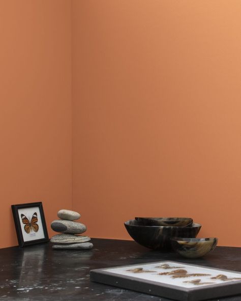 Equal amounts of orange and brown come together in this classic shade of terracotta. Benjamin Moore Sienna Clay, Sienna Clay Benjamin Moore, Library Playroom, Cottage Mood Board, Small Living Room Dining Room, Mediterranean Boho, Tupelo Tree, Paint Color Swatches, Orange Paint Colors