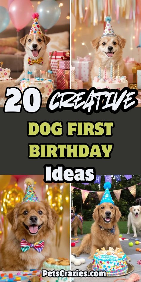 Pinterest pin showcasing four heartwarming dog birthday celebration photos arranged in a collage format. The title "20 CREATIVE DOG FIRST BIRTHDAY Ideas" appears in bold white, black, and lime green text on a dark background. Images feature mixed-breed dogs and Golden Retrievers wearing party hats and bow ties, posing with decorated birthday cakes, presents, and party decorations in pastel colors. The "PetsCrazies.com" watermark appears at the bottom. Dog’s First Birthday Party, One Year Dog Birthday, First Birthday For Dog, Dog Birthday Sign, First Dog Birthday, 1st Birthday For Dog, Dog's First Birthday, Dog Smash Cake First Birthdays, Dog Birthday Hat Diy