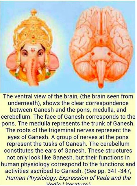 Inside Your Brain, Hinduism History, Sahaja Yoga, Pranic Healing, Indian Philosophy, Ancient History Facts, Sacred Science, Indian History Facts, Spirit Science