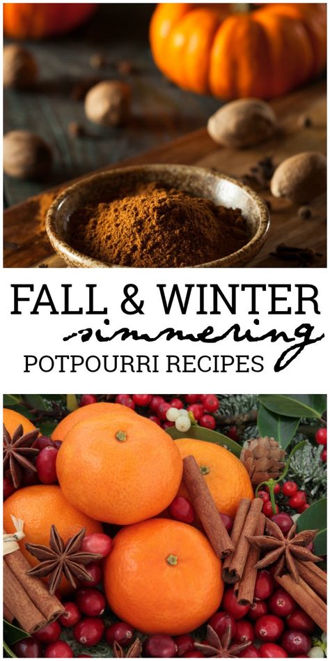 These simmering potpourri recipes will have your house smelling heavenly with the delicious scents of whatever season you are craving. Simmering Potpourri Recipes, Winter Potpourri, Holiday Potpourri, Fall Smells, Homemade Potpourri, Make Your Home Smell Amazing, Simmer Pot Recipes, Stove Top Potpourri, Simmering Potpourri