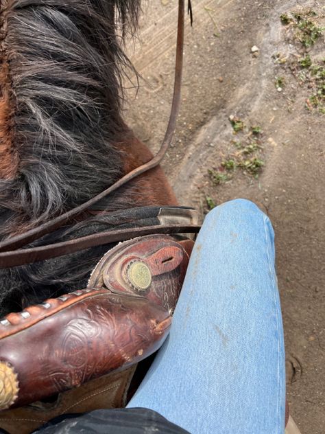 Western Rider Aesthetic, Horseback Riding Western, Horse Back Riding Aesthetic Western, Western Trail Riding, Trail Ride Aesthetic, Riding Horses Aesthetic, Horse Ranch Aesthetic, Western Riding Aesthetic, Western Horse Riding Aesthetic