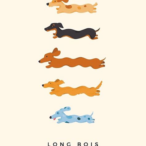 Weenie Dog Illustration, Dachshund Art Illustration Weenie Dogs, Wiener Dog Cartoon, Dashund Illustrations, Daschund Illustration Cute, Weiner Dog Illustration, Dachshund Dog Illustration, Wiener Dog Illustration, Dachshund Illustration Drawings