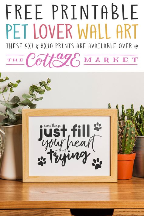 Animal Supplies, Cottage Market, Cat Doodle, Pet Mom, Pet Signs, Dog Wall Art, Canvas Gift, Pet Stuff, Mom Day