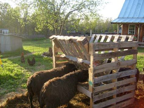 #Animal, #Diy, #Farm, #Feeder, #Garden Are you breeders? Do You need a hay feeder for your sheep or others animals? Here is a solution made of pallets, simple, easy, no cost and useful! Thanks to "That Family Blog" for this excellent idea! Goat Feeders, Chicken Coop Pallets, Herb Garden Pallet, 1001 Pallets, Hay Feeder, Future Farms, Farm Projects, Pallet Creations, Farm Stuff