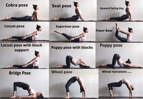 Back flexibility stretches Back Flexibility Stretches, Cer Nocturn, Back Flexibility, Cheer Workouts, Yoga Beginners, Stretches For Flexibility, Dancer Workout, Sup Yoga, Yoga Iyengar