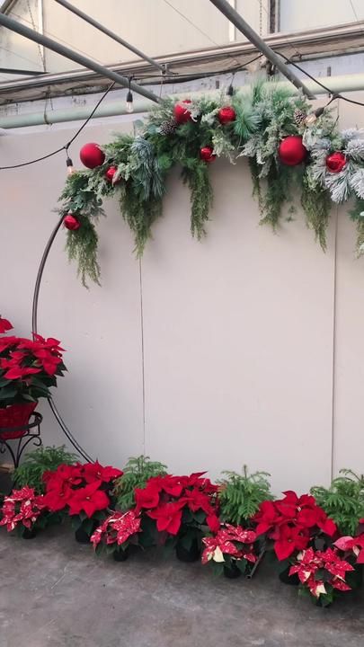 Round Christmas Backdrop, Church Christmas Photo Backdrop Ideas, Backdrop Christmas Decorations, Circle Backdrop Christmas, Christmas Backdrops Ideas, Christmas Photo Spot Ideas, Diy Christmas Party Decorations Backdrop, Christmas Photoshoot Backdrop Diy, Christmas Party Picture Backdrop