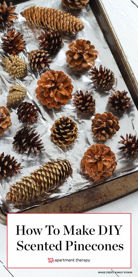 Diy Scented Pinecones, Pinecones Crafts, Oppgaver For Barn, Pine Cone Christmas Decorations, Scented Pinecones, Pinecone Crafts Christmas, Pinecone Crafts, Potpourri Recipes, Diy Scent