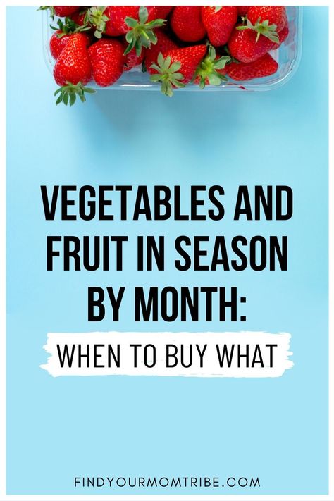 Fall Fruit In Season, Seasonal Fruit And Vegetable Chart, Vegetables In Season By Month, Seasonal Veggies And Fruits, Produce In Season By Month, Fruits In Season Chart, Fruit In Season Chart, Winter Fruits In Season, Fruit By Season