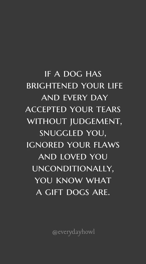 If a dog has brightened your life and every day accepted your tears without judgement, snuggled you, ignored your flaws and loved you unconditionally, you know what a gift dogs are. Pets Are Family Quotes, Love Of Dogs Quotes, Man And His Dog Quotes, Dogs Unconditional Love Quotes, My Dogs Are My Life Quotes, Loving A Dog Quotes, Quotes Dogs Love, Dog Thoughts Quotes, A Dogs Love Quote