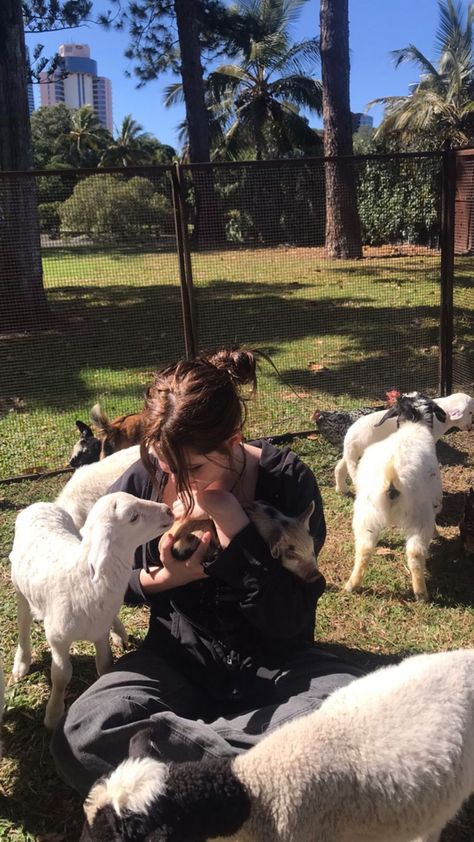 Petting zoo with lovely chickens goats sheep and a piggy Loving Animals Aesthetic, Taking Care Of Animals Aesthetic, Petting Zoo Photoshoot, Petting Zoo Date Aesthetic, Iced Out Veronica Eden Aesthetic, Aesthetic Zoo Pictures, Ngo Work Aesthetic, Petting Zoo Farm Aesthetic, Working With Animals Aesthetic