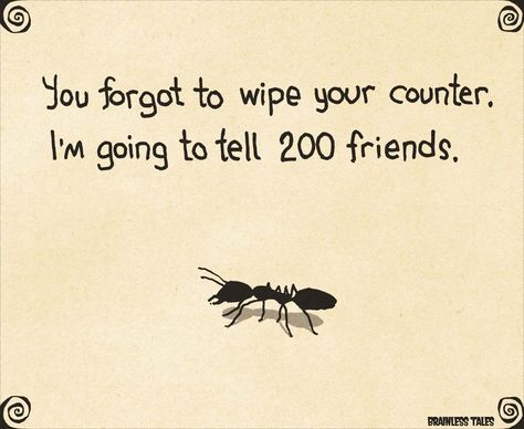 How About Some Ant Humor? (Comics) - I Can Has Cheezburger? Bug Jokes, Pest Control Humor, Shock Meme, Savage Chickens, Job Memes, Shock Therapy, Control Quotes, Friday Funny, Off The Mark