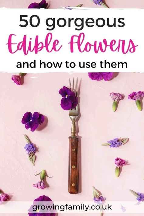 Ultimate edible flowers guide: list of 50 blooms - Growing Family Edible Flowers List Of, Edible Dried Flowers, Flowers Guide, Edible Flower Garden, Edible Flowers Recipes, Eco Friendly Garden, Plants For Hanging Baskets, Flower Guide, Types Of Fruit