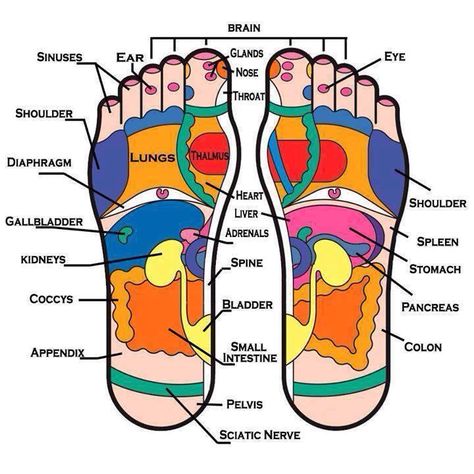 Reflexology Foot Chart, Foot Reflexology Massage, Reflexology Chart, Face Mapping, Reflexology Massage, Gotta Work, Foot Reflexology, Massage Machine, Thai Massage