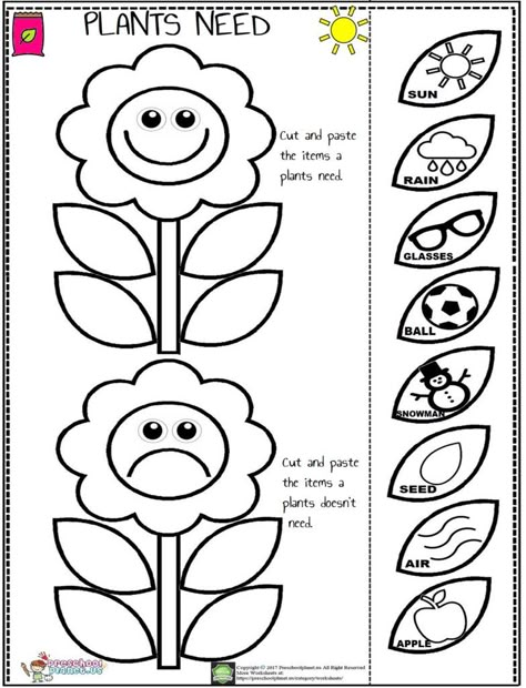 Cut and Paste Back To School Activity – Preschoolplanet Garden Worksheets Kindergarten, Art Worksheets For Grade 1, Plant Crafts Preschool, Stork Craft, Plants Kindergarten, Plant Lessons, Plants Worksheets, Preschool Garden, Planting For Kids