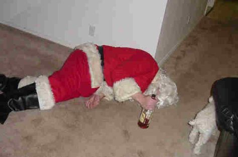 Santa gets drunk every Christmas dinner, after a hard night on the sleigh Drunk Santa, Funny Baby Images, American Funny Videos, Indian Funny, Best Funny Photos, Funny Dog Photos, Funny Pictures For Kids, Funny News, Funny Dog Pictures