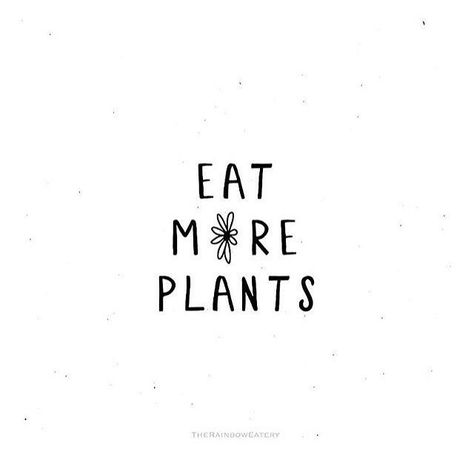 Eat more plants, go vegan Vegetarian Quotes, Eat More Plants, Vegan Facts, Vegan Makeup Brushes, Vegan Tattoo, Vegan Art, Plants Quotes, Vegan Quotes, Why Vegan