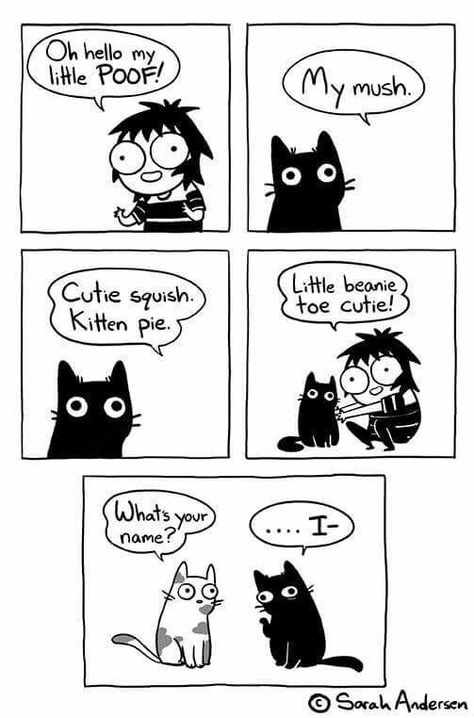 Sarah Anderson Comics, Sarah's Scribbles, Sarah Andersen, Girls Problems, Cat Comics, Reference Poses, Slipknot, Cute Comics, Dad Jokes