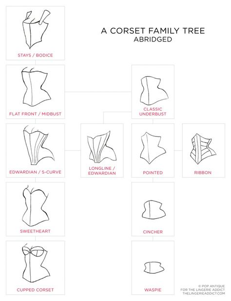 A Corset Family Tree, Abridged | The Lingerie Addict | Lingerie For Who You Are Corset Tutorial, Corset Making, Diy Corset, Edwardian Corsets, Purple Corset, Corset Sewing Pattern, Corset Training, Fashion Dictionary, Corset Pattern