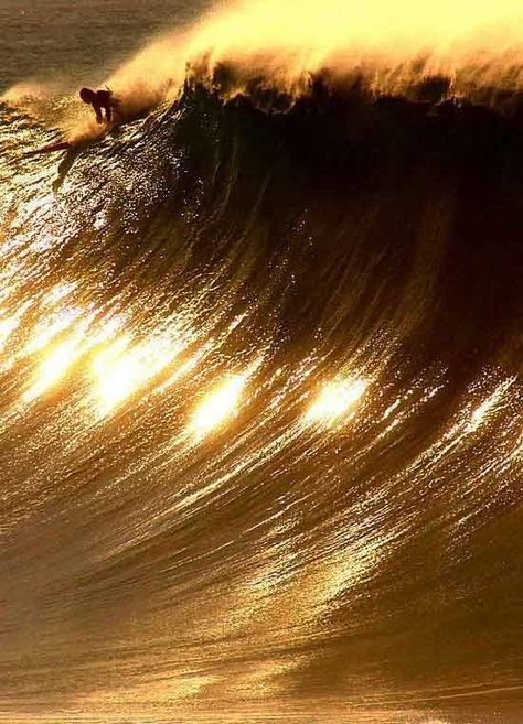 Bild Gold, Big Wave Surfing, Gold Aesthetic, Surf Life, Surfing Waves, Shades Of Gold, Big Waves, Surfs Up, In The Ocean