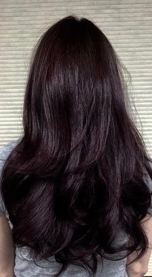 Plum Dark Hair, Brunette With Cherry Highlights, Dark Cherry Black Hair, Black Hair With Red Undertones, Black Cherry Hair Color Dark, Cherry Black Hair, Dark Plum Brown Hair, Dark Cherry Brown Hair, Violet Black Hair