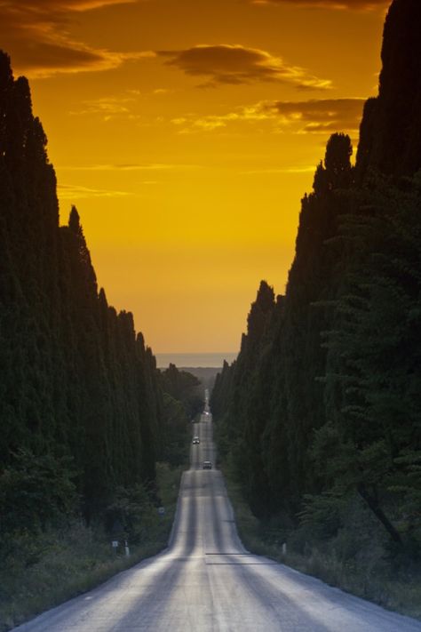 Toscana Italia, Beautiful Roads, Tuscany Italy, Elba, Pretty Places, Lucca, Siena, Wonderful Places, Italy Travel