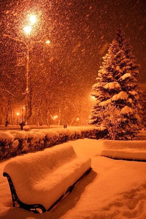 Heavy Snow falling winter snow christmas merry christmas christmas pictures christmas ideas happy holidays merry xmas Snow At Night, Cer Nocturn, Winter Schnee, Winter Szenen, Street Lights, Winter Love, Winter Magic, Winter Scenery, Winter Beauty