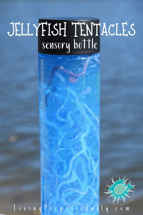 SO cool!!! The danger of jellyfish tentacles made safe to hold with this simple sensory bottle for kids that uses hot glue to look like tentacles. The activity includes some fun learning about jellyfish too! | LivingPorpoisefully.com Tentacles Diy, Sensory Bottle Ideas, Jellyfish Project, Sensory Bottles Preschool, Sensory Jars, Jellyfish Tentacles, Diy Jellyfish, Discovery Bottles, Sensory Bottle