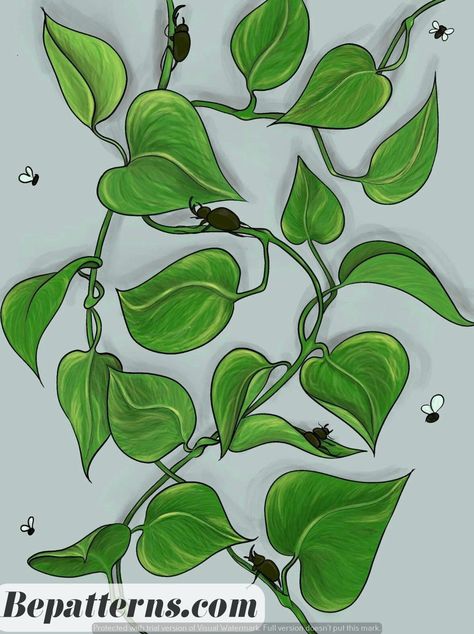 Garden Planters | Cozy Garden Ideas | Beginner Tutorial Pothos Vine Drawing, Pothos Plant Painting, Pathos Painting, Pothos Plant Drawing, Pothos Illustration, Pothos Painting, Pothos Drawing, Line Drawing Plants, Pothos Tattoo