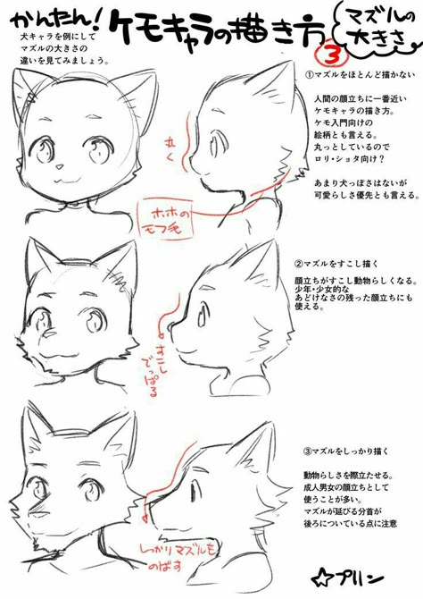 Steps To Draw, Draw Cat, Drawing Tutorial Face, Some Drawings, 캐릭터 드로잉, Drawing Stuff, Drawing Skills, Facial Expressions, Drawing Reference Poses