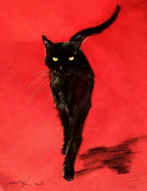 Draw Cats, 동화 삽화, Cat Art Illustration, Black Cat Art, Animal Reference, Cats In Art, A Black Cat, Cats Illustration, Cats Art