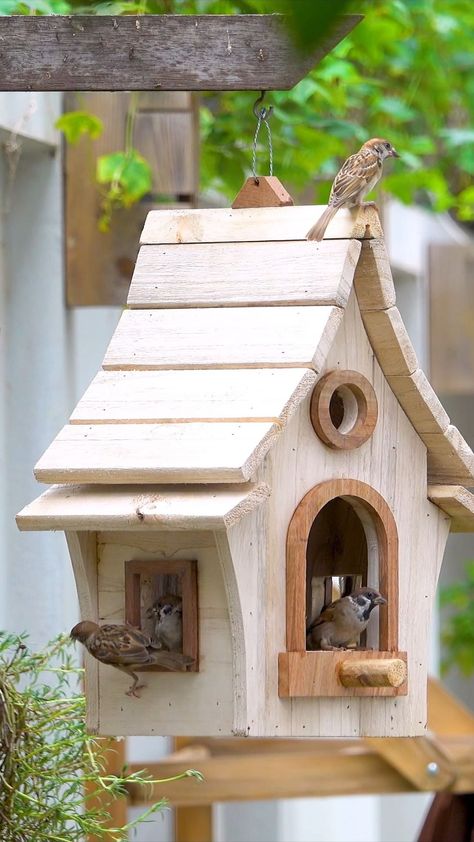 DIY Wooden Bird House and Bird Feeder | Instagram Birdhouse Woodworking Plans, Bird Feeder Stands, Bird House Plans Free, Unique Bird Feeders, Wood Bird Feeder, Wooden Bird Feeders, Homemade Bird Houses, Bird Tables, Bird Houses Ideas Diy