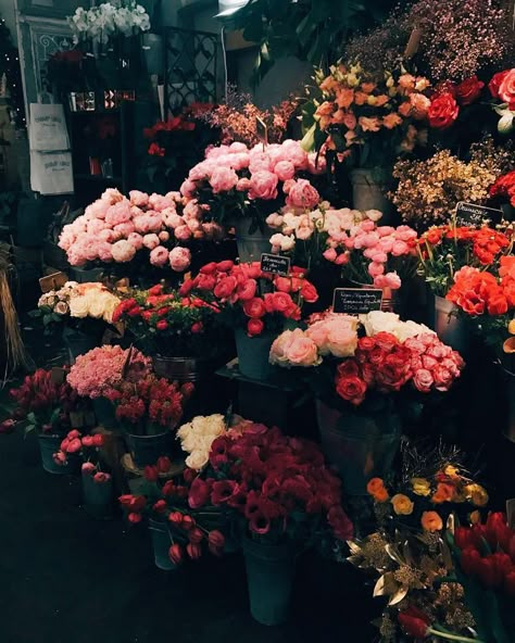 Different Types Of Flowers, Types Of Flowers, Flower Market, Plants Flowers, Flower Shop, Pretty Flowers, Flowers Plants, The Flowers, Different Types