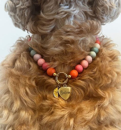 Dog Necklace Collar Diy, Diy Dog Necklace, Dog Collar Packaging, Dog Collar Aesthetic, Dogs Necklace, Necklace For Dogs, Dog Necklace Collar, Pet Collar Charms, Dog Accesories