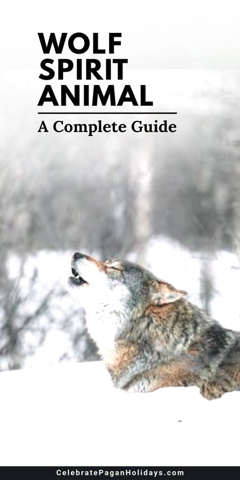 Wolf howling Pagan Lifestyle, Pagan Holidays, Wolf Totem, Cultures Around The World, Animal Communication, Animal Spirit Guides, Wolf Spirit Animal, Spirit Guide, Wolf Spirit