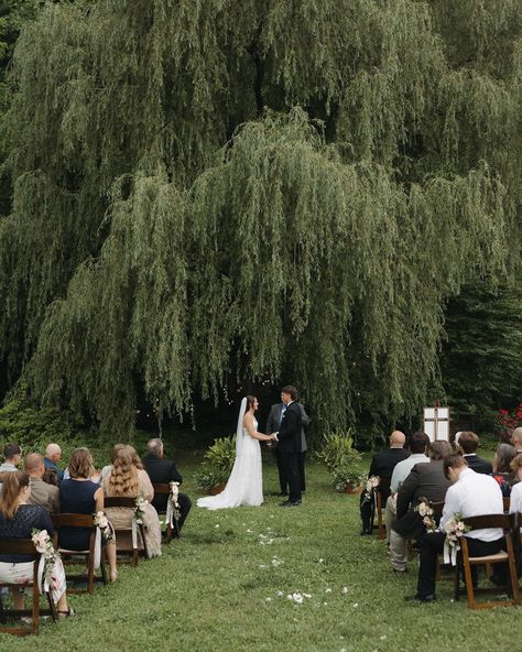 my favorite part about the holton’s wedding day was that their ceremony was under a willow tree!!!!! had to make another post for appreciation of the most beautiful intimate wedding 🫶🏼 • • • venue: @honeysucklehills • Intimate Wedding Aesthetic, Willow Tree Wedding Ceremony, Wedding Willow Tree, Weeping Willow Wedding, Under A Willow Tree, Outside Wedding Ceremonies, Virginia Vineyard Wedding, Tree Wedding Ceremony, Willow Tree Wedding