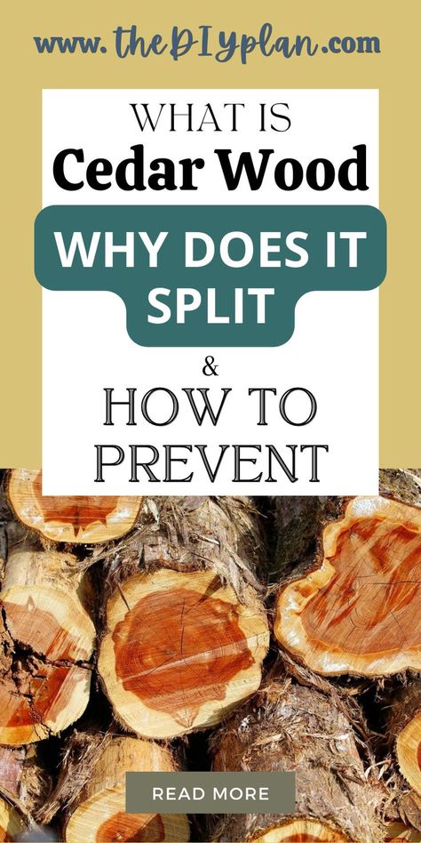 Cedar wood splits when the water leaves the cells faster than it can be replaced. This usually happens when the wood is exposed to sunlight or left in an uninsulated barn in the winter. It can also happen if the wood is stored near a heat source for a prolonged period. || DIY Home Decor, DIY Furniture, Wood Projects, Woodworking Projects, Wood Crafts, Carpentry DIY || #woodworking #project #design #tool #carpentry #diy #tips Diy Furniture Wood, Cedar Wood Projects, Small Easy Woodworking Projects, Build A Greenhouse, Online Interior Design Services, Small Woodworking Projects, Carpentry Diy, Bird Houses Diy, Furniture Wood