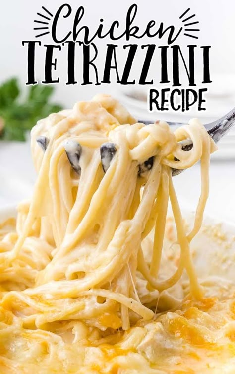 Easy Chicken Tetrazzini Recipe, Tetrazzini Recipes, Chicken Tetrazzini Casserole, Homemade White Sauce, Easy Chicken Tetrazzini, Creamy Casserole, Chicken Tetrazzini Recipes, Week Recipes, Noodles Chicken