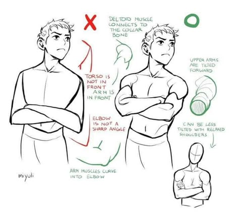 Crossed Arms, Arm Drawing, Drawing Help, Different Poses, Body Reference Drawing, Art Help, Drawing Refs, Body Drawing, Figure Drawing Reference