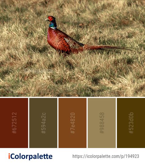 Pheasant Color Palette, Wildlife Color Palette, Wildlife Colour Palette, Hunting Color Palette, Equestrian Color Palette, Farm Color Palette, Nature Colour Palette, Western Color Palette, Quilt Color Schemes