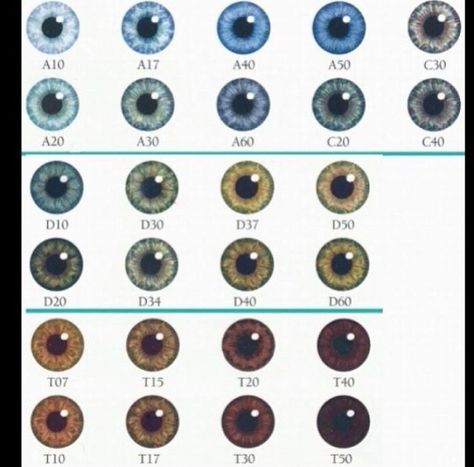 t10,t20,t30 are the only colors my eyes change through. highly depends on my mood so you rarely see them at t10 anymore :/. did a few weeks ago tho :D Eye Color Facts, Eye Color Chart, Eye Chart, Gray Eyes, Natural Eyes, Hazel Eyes, Pretty Eyes, Eye Shapes, Drawing Tips