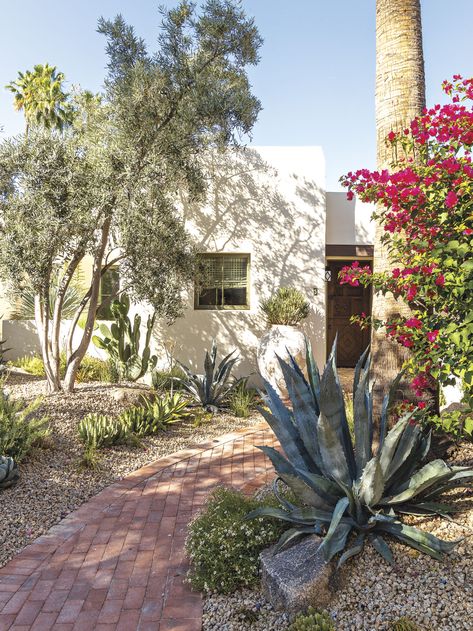 A Smaller Home Becomes a Functional Dream for a Local Interior Designer - Phoenix Home & Garden Phoenix Home And Garden, Arizona Homes Interior Decorating Ideas, Front Yard Desert Landscaping Ideas, Phoenix Landscaping, Phoenix Backyard, Arizona Backyard Landscaping, Desert Cabin, Desert Landscaping Backyard, Phoenix Garden