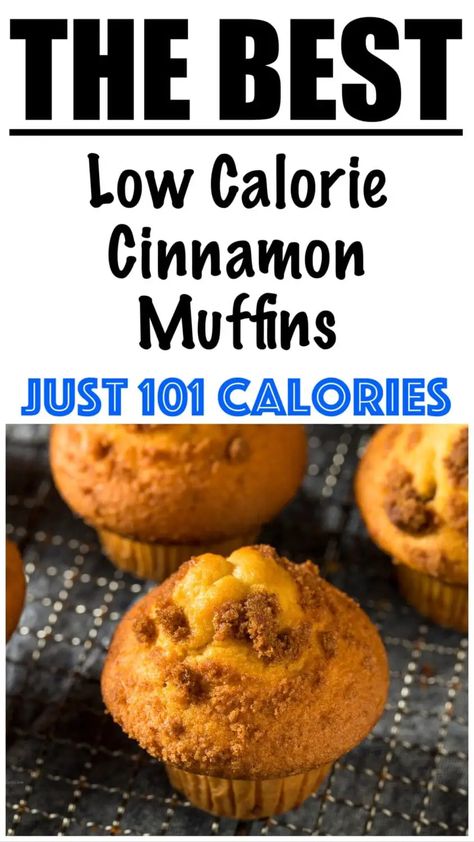 Low Carb Apple Cinnamon Muffins, Low Calorie Applesauce Muffins, Low Calorie Cinnamon Desserts, Low Calorie Chocolate Chip Muffins, Low Calorie Breakfast Bread Recipes, Low Calorie Oat Muffins, 100 Calorie Muffins, Low Cal Muffin Recipes, Low Calorie Apple Muffins