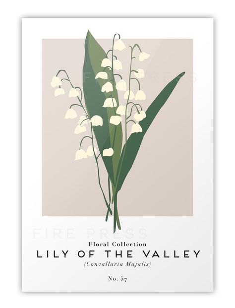 Modern minimalist Lily Of The Valley botanical poster influenced by exhibition art - No. 057.#FreeFonts #FontLove #Typography #DesignInspiration  #CreativeFonts  #FreeDesignResources #FontAddict #FontFrenzy Lily Of The Valley Poster, Lily Of The Valley Print, Room Posters Ideas Bedrooms, Lily Of The Valley Decor, Green Poster Aesthetic, Lily Of The Valley Aesthetic, Lily Of The Valley Botanical, Minimalist Art Flower, Lily Of The Valley Wallpaper