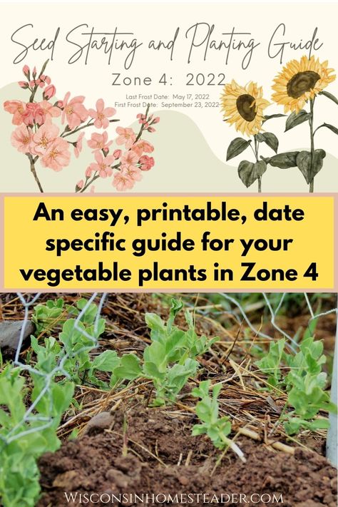 Seed Starting Schedule, When To Plant Garden, Starting Flowers From Seeds, Spring Planting Guide, Seed Planting Guide, When To Plant Seeds, Homestead Tips, What To Plant When, Planting Schedule